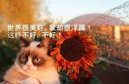 柔性線(xiàn)路板廠(chǎng)家