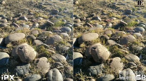 iPhone X與三星S8拍照對比 結(jié)果無懸念？